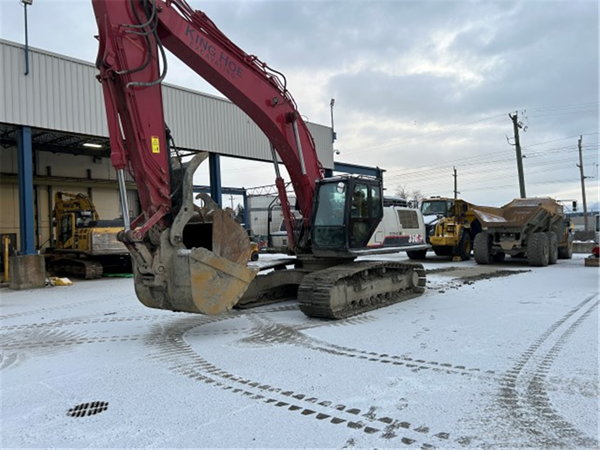 2015 LINK-BELT 350X4 5102