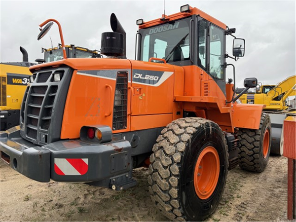 2015 DOOSAN DL250-5 5243