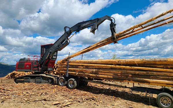 TN230D Log Loader