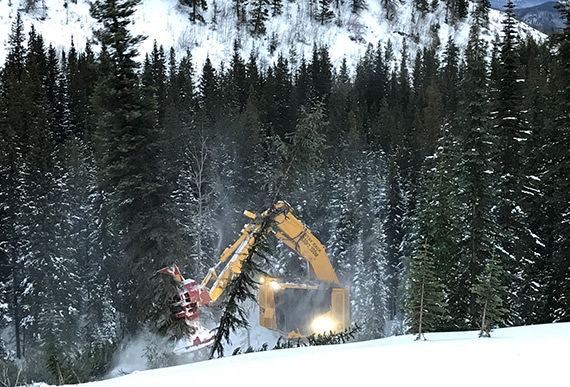 Tracked Feller Bunchers